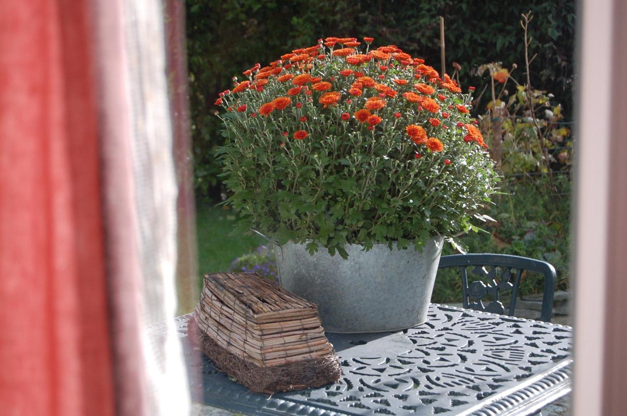 Beaufort Lodge B&B & Cottage Екстериор снимка